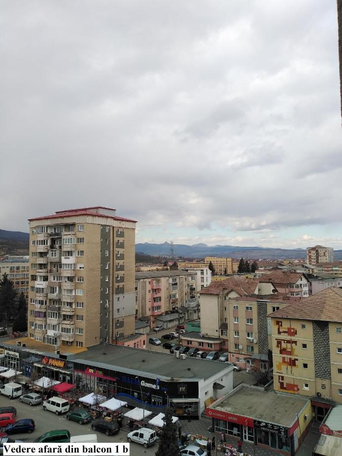 Apartament Salina Bulevard Alba Iulia Luaran gambar